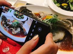 -春满园·早茶·粤菜·宴会(喜宴店)
