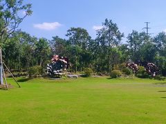 -上海海湾国家森林公园