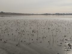 -天津东丽湖风景区