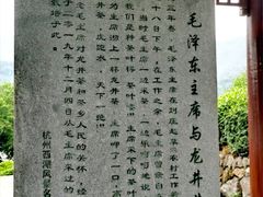 -龙井村