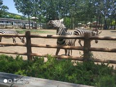 -大连森林动物园