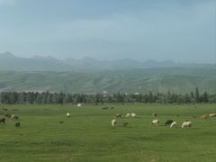 -新疆那拉提国家旅游度假区