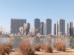 -灞河西岸滨河公园