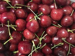 -菜园坝水果市场