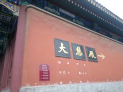-天津大悲禅院