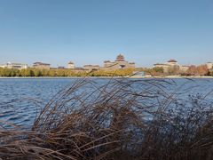 -莲花池公园