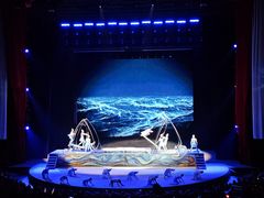 -水秀国际大剧院