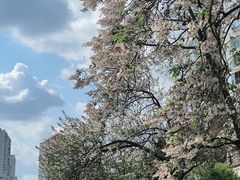 -红星桥(地铁站)