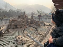 -西安秦岭野生动物园