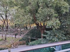 -徐家汇公园