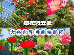 -大兴世界月季主题园