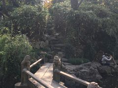 -秋霞圃