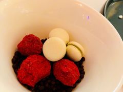 -蝶舍·MAISON PAPILLON