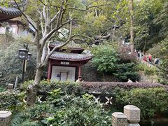 -韬光茶庵