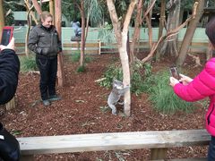 -费瑟代尔野生动物园