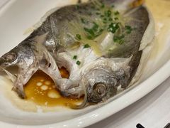 -京粤荟(海王银河科技大厦店)