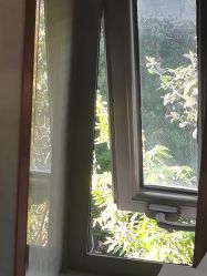 -悟空祛痘·诺奖技术专业店