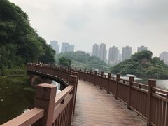 -重庆彩云湖湿地公园