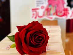 -上海保利玛莎拉蒂和阿尔法罗密欧(华翔路店)