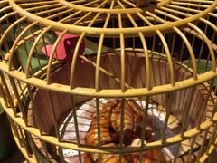 -胡桃里乐队酒馆(鎏嘉码头店)