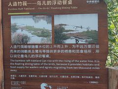 -华侨城湿地公园