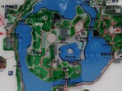 -团结湖公园