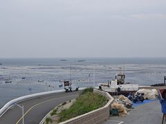 -枸杞岛