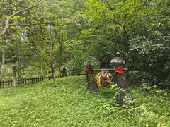 -天目湖山水园