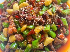 -龙翔山庄雷鸡肉(青城后山泰安古镇店)