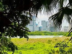 -华侨城湿地公园