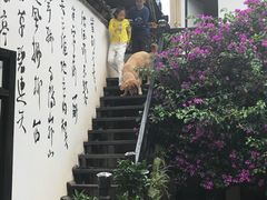 -浔岚云舍mist静谧观景美宿(丽江古城店)