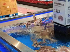 -盒马鲜生(龙德广场店)