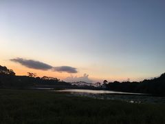 -清溪大王山森林公园