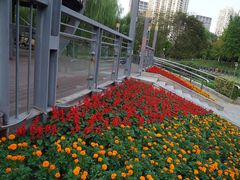 -苏州河梦清园环保主题公园