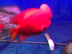 -泉州海丝野生动物世界