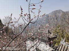 -圣莲山风景区