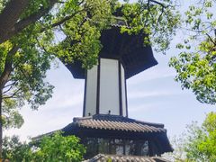 -上海佘山国家森林公园天马山园