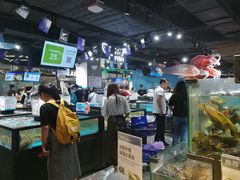 水产区-盒马鲜生(曜一城店)