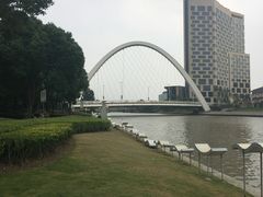 -陈家山荷花公园