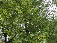 -世纪联华(安徽六安店)