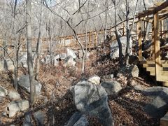 -大岭沟猕猴桃谷风景区