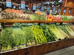 -中国人民解放军总医院