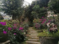 -园林美食城·本土农家菜(杨和镇店)