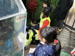 -上海大自然野生昆虫馆(东方明珠·爬宠昆虫探索中心)