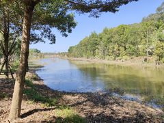 -露天矿生态公园