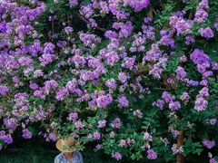 -杭州城北体育公园