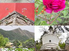 -潭柘寺景区