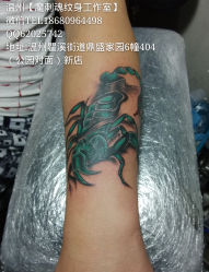 手臂 蝎子纹身 洗纹身（温州瓯海瞿溪店）-温州魔刺魂纹身
