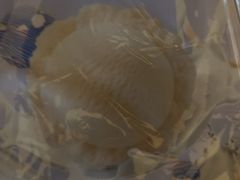-星伦多自助料理(江阴万达店)