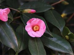 -苏州河梦清园环保主题公园